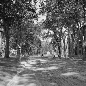 State Street, Portland, Maine, Early 1900&#39;s, B&W, Black and White, Photo, New Print Reproduction of an Old Photograph