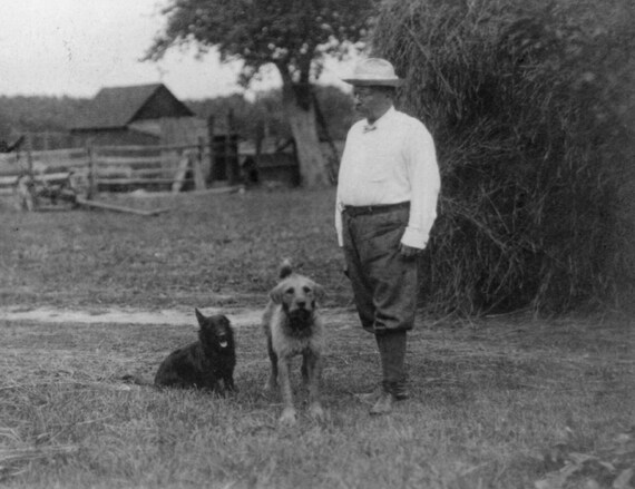 Theodore hotsell roosevelt dog