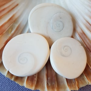 Eye Of Shiva Gemstones. Natural Semi Precious Gemstone Eye of Shiva Flat Top Round Back. Macrame and Wirewrapping.