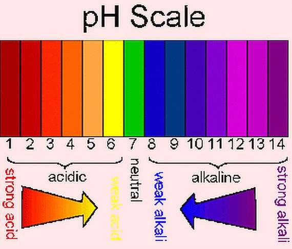 Full Range pH 1-14 Test Paper Strips - Modernist Pantry, LLC