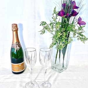 Vintage Pair of Crystal Tulip Shape Cut and Frosted Glass Wine Champagne Stemware with Platinum Rim and Base