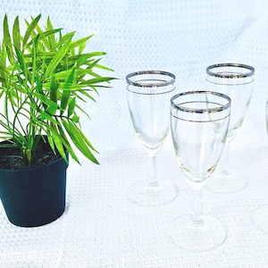 Rare Vintage Platinum Double Band Cordial Liqueur Wine Glasses Set of Four