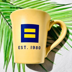 Vintage Ceramic Mugs Human Rights or Star Trek