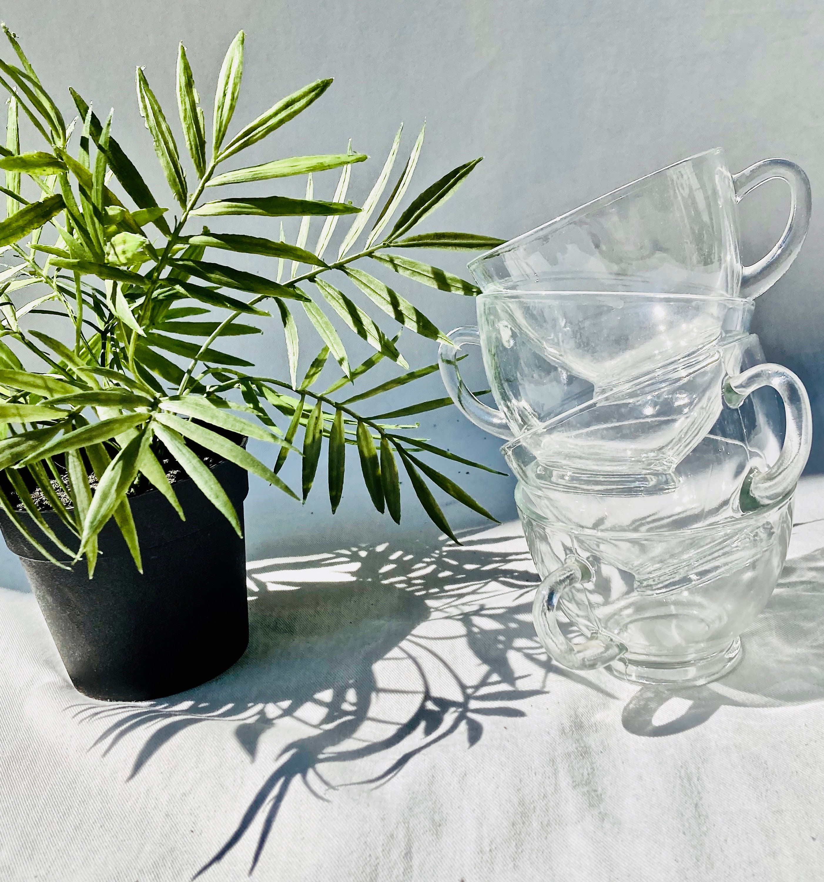 Glass Tea Cups Set with Handle, Clear Coffee Mugs Set of 6, Vintage Crystal  Design, 5.25 oz (150 Cc)