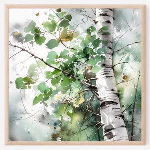 Aspen tree wall art, aspen tree watercolor painting art print, birth tree square wall art, Colorado wall art, Home decor gift art