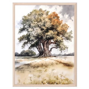 Stampa artistica con acquerello di campo di quercia, decorazione da parete, regalo artistico