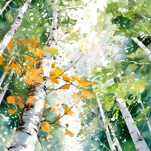 Birken Gemälde Aquarell Wald Kunstdruck Herbst Wanddekoration Quadratisches Poster Waldkunstwerk
