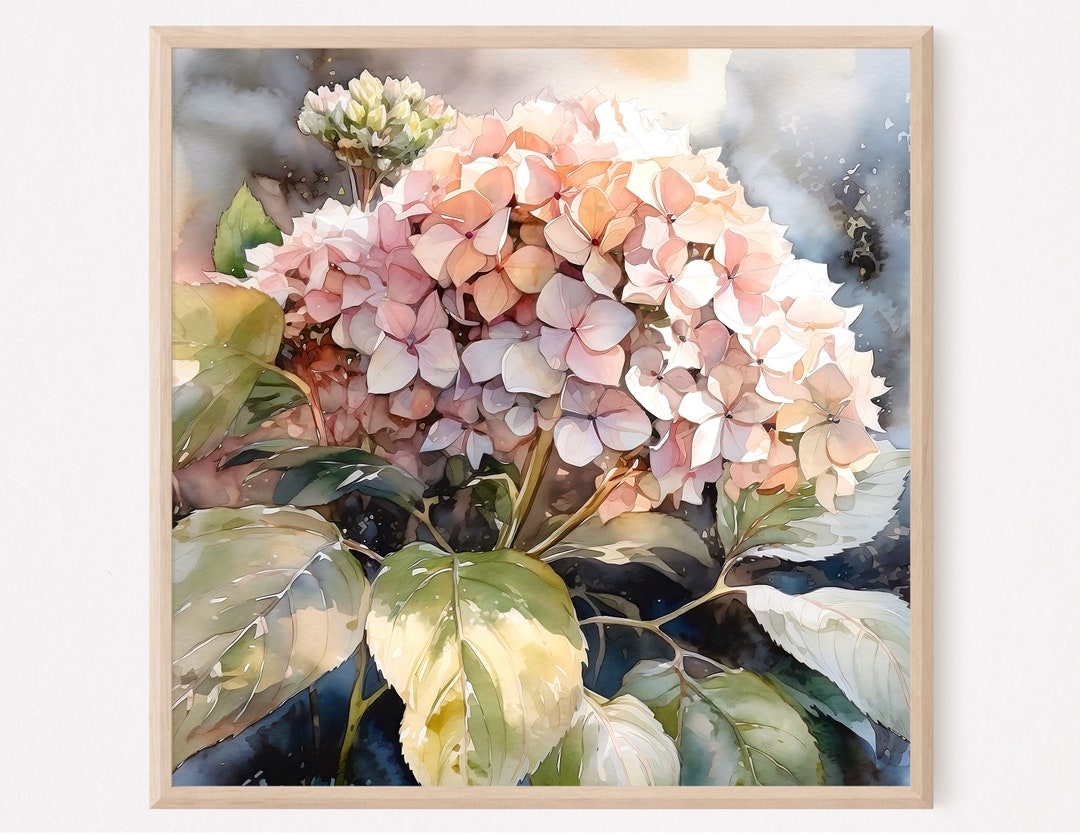 Hydrangea Watercolor Art Print Pink Floral Botanical Wall Art Square ...