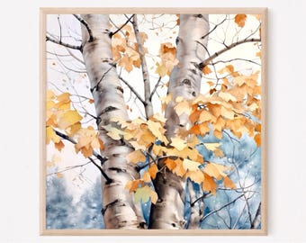 May include: A square framed wall art print featuring two birch tree trunks with white and grey bark. The branches are adorned with vibrant golden-yellow autumn leaves. The background shows a soft, blurred blue and white winter forest scene.