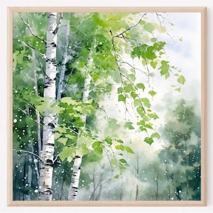 Aspen tree wall art, aspen tree watercolor painting art print, birth tree square wall art, Colorado wall art, Home decor gift art