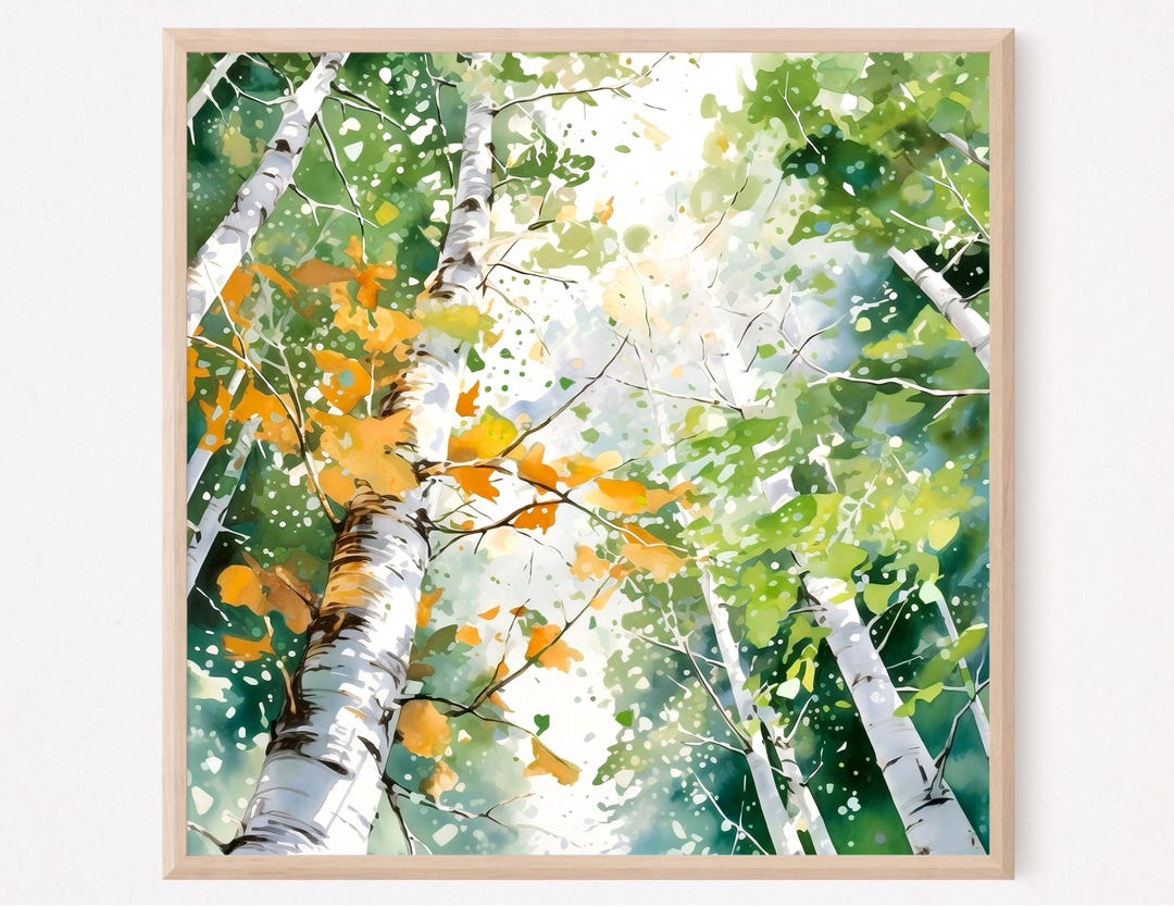 Birch Trees Painting Watercolor Forest Art Print Fall Wall Decor Square ...