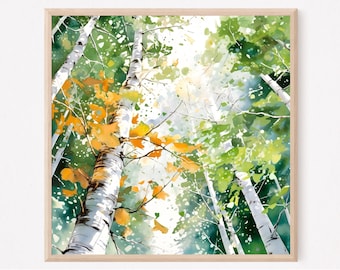 Birch Trees Painting Watercolor Forest Art Print Fall Wall Decor Square Poster Woodland Artwork