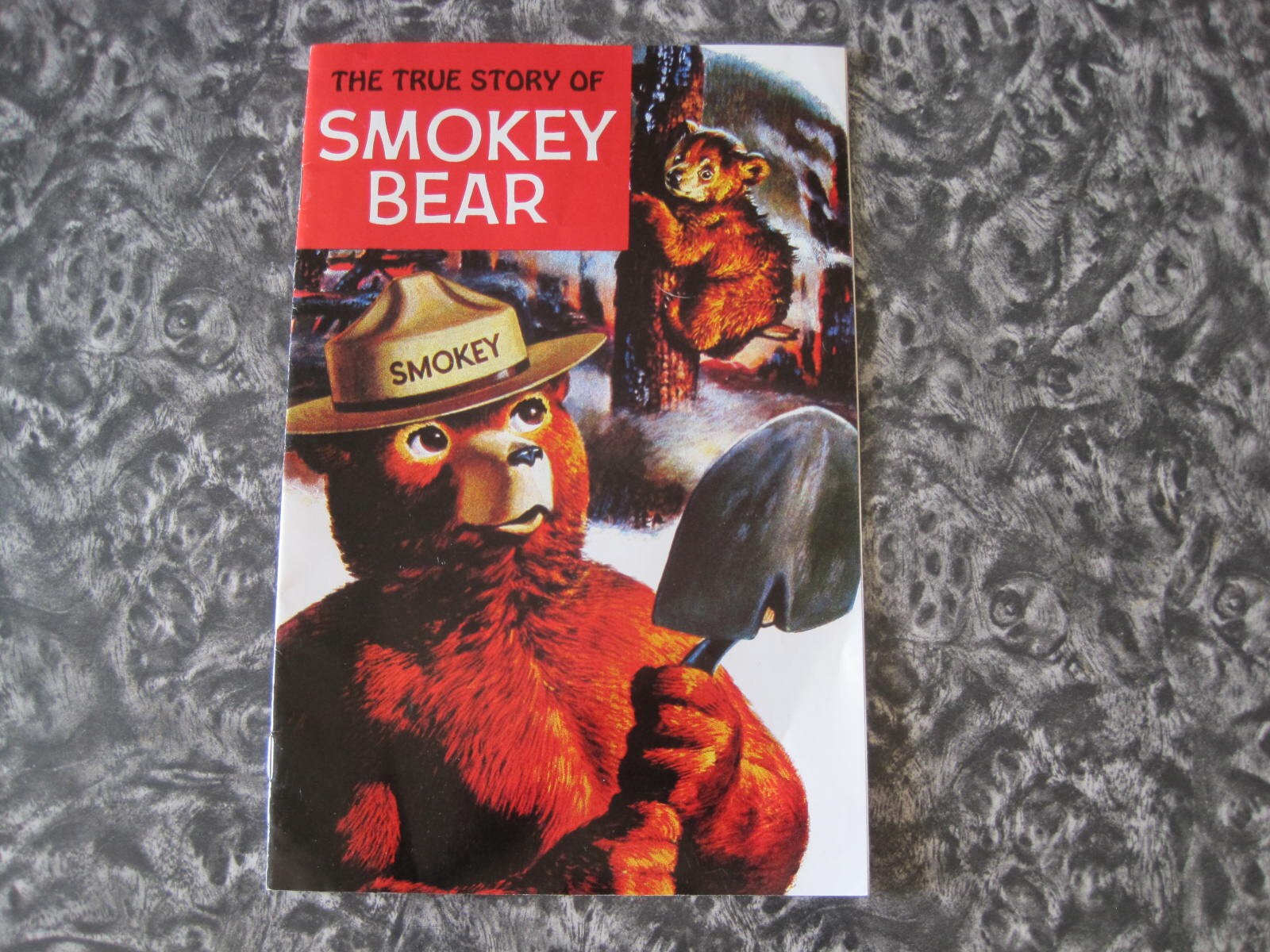 970 Collections Smokey Bear Coloring Pages  Latest Free