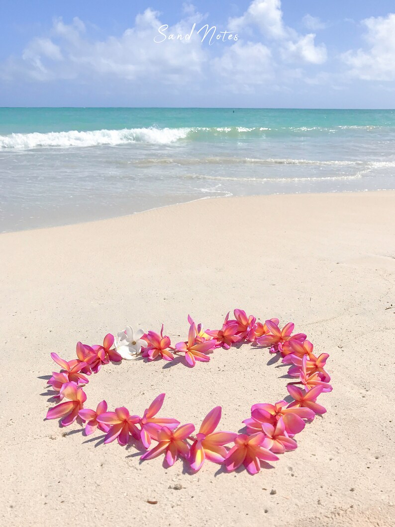 保証書付 Heart Beach Plumeria オルゴナイト 代引不可 Fortpayneanimalhospital Com