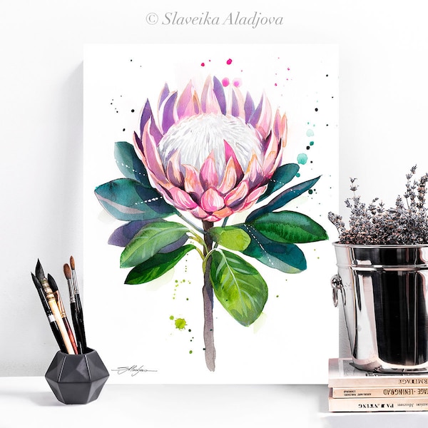 King protea watercolor painting print by Slaveika Aladjova, art, illustration, home decor, Contemporary, Australian native plant, Botanical
