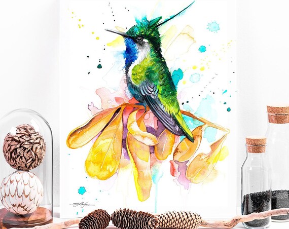 Green-crowned plovercrest hummingbird watercolor painting print by Slaveika Aladjova, art, animal, illustration, bird, home decor, wall art
