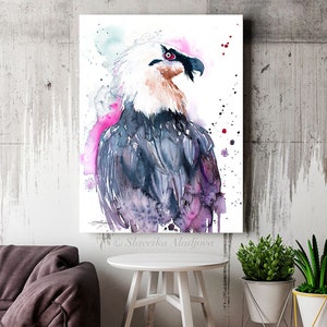 Bearded Vulture Watercolor Painting Print by Slaveika Aladjova, Art ...