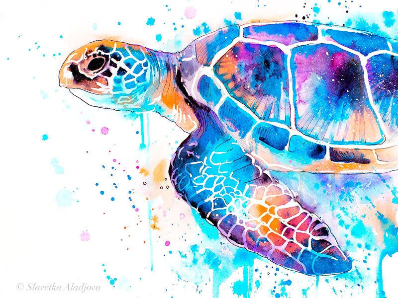 Turtle artwork online
