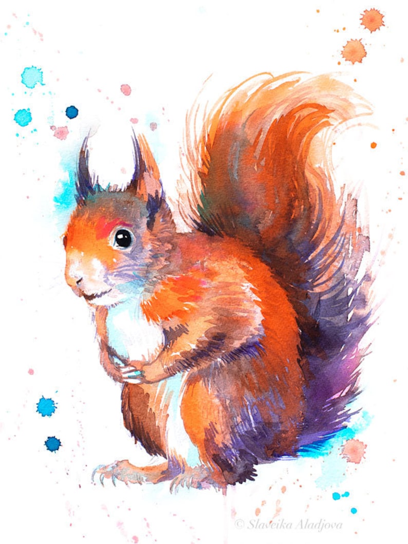 Red squirrel watercolor painting print by Slaveika Aladjova Etsy