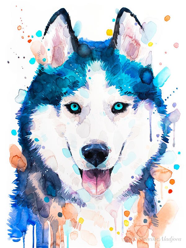 シベリアンハスキー犬 限定版水彩画アートプリント（Slaveika Aladjova