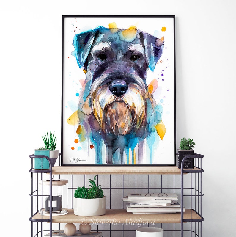 Op de afbeelding: Waterverf schilderij van een zwarte en grijze Schnauzer hond met blauwe, gele en oranje waterverf spatten op de achtergrond.