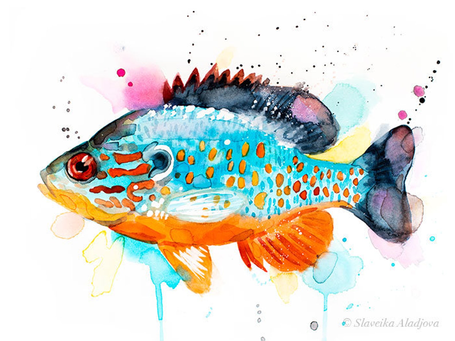 Orangespotted Sunfish Watercolor Painting Print by Slaveika - Etsy