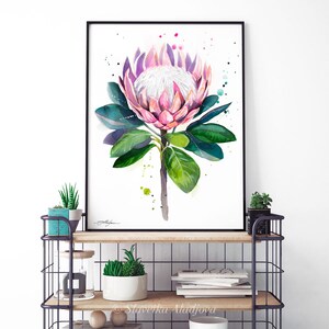 King Protea Limited Edition Watercolor Art Print by Slaveika Aladjova ...