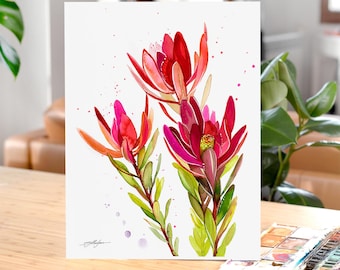 リューカデンドロン、サファリサンセットフラワー、限定版水彩画アート