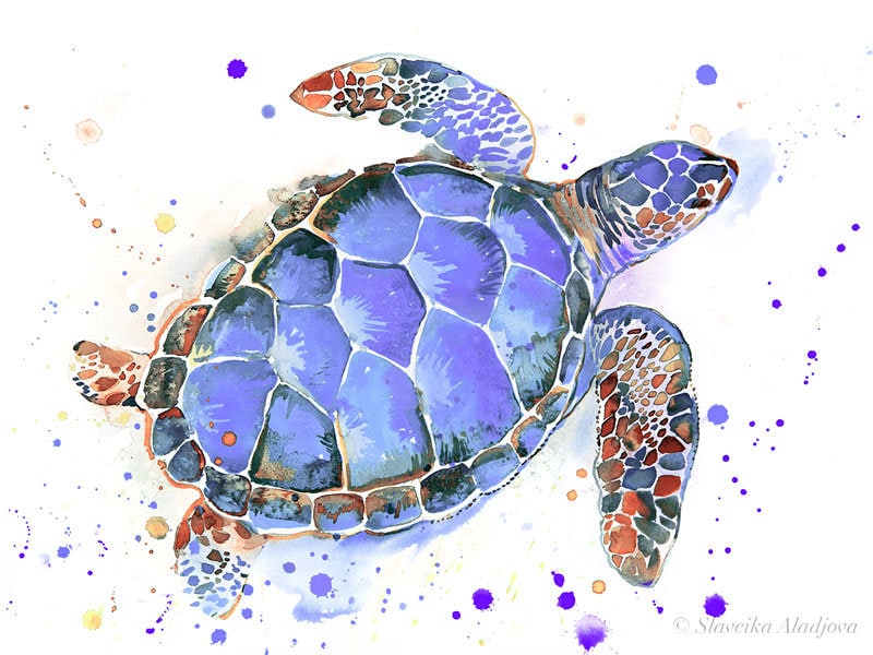 sea turtle home decor