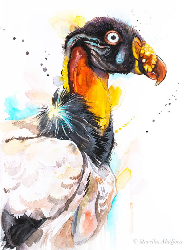 King Vulture Limited Edition Watercolor Art Print by Slaveika Aladjova ...