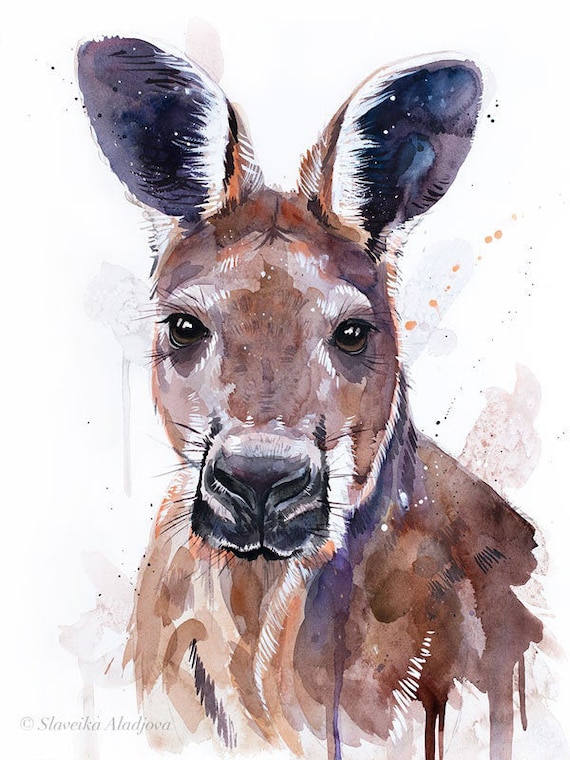 Original Watercolour Painting Red Kangaroo Art Animal - Etsy Australia Original Watercolour Painting Red Kangaroo Art Animal - Etsy Australia
