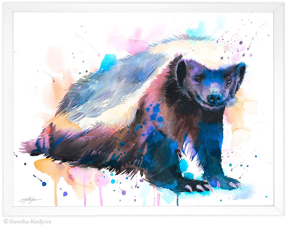 Honey badger watercolor painting print by Slaveika Aladjova Etsy