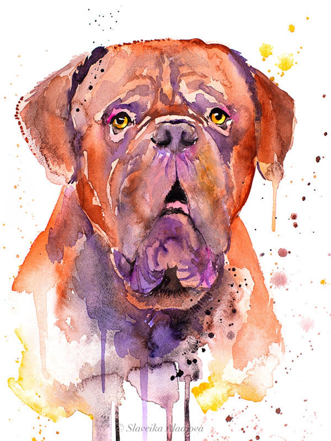 Dogue De Bordeaux, Bordeaux Mastiff, French Mastiff Watercolor Painting ...