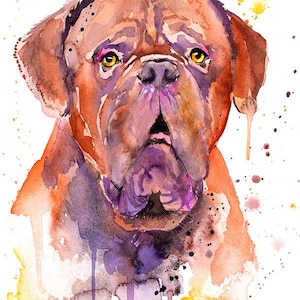 Dogue de Bordeaux, Bordeaux Mastiff, impression d'aquarelle de Mastiff français de Slaveika Aladjova, chien, animal, illustration, décoration intérieure,