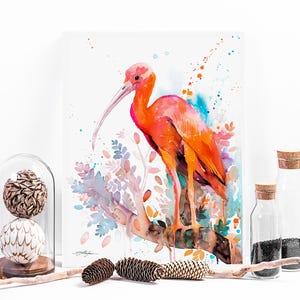 Scarlet Ibis watercolor painting print by Slaveika Aladjova, art, animal, illustration, bird, home decor, wall art, gift, Wildlife