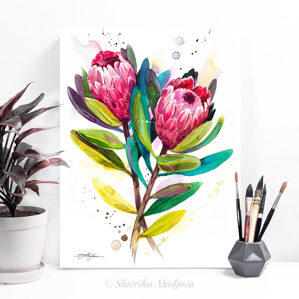 Protea Pink Ice watercolor painting print by Slaveika Aladjova, illustration, home decor, Contemporary, Australian native plant, Botanical