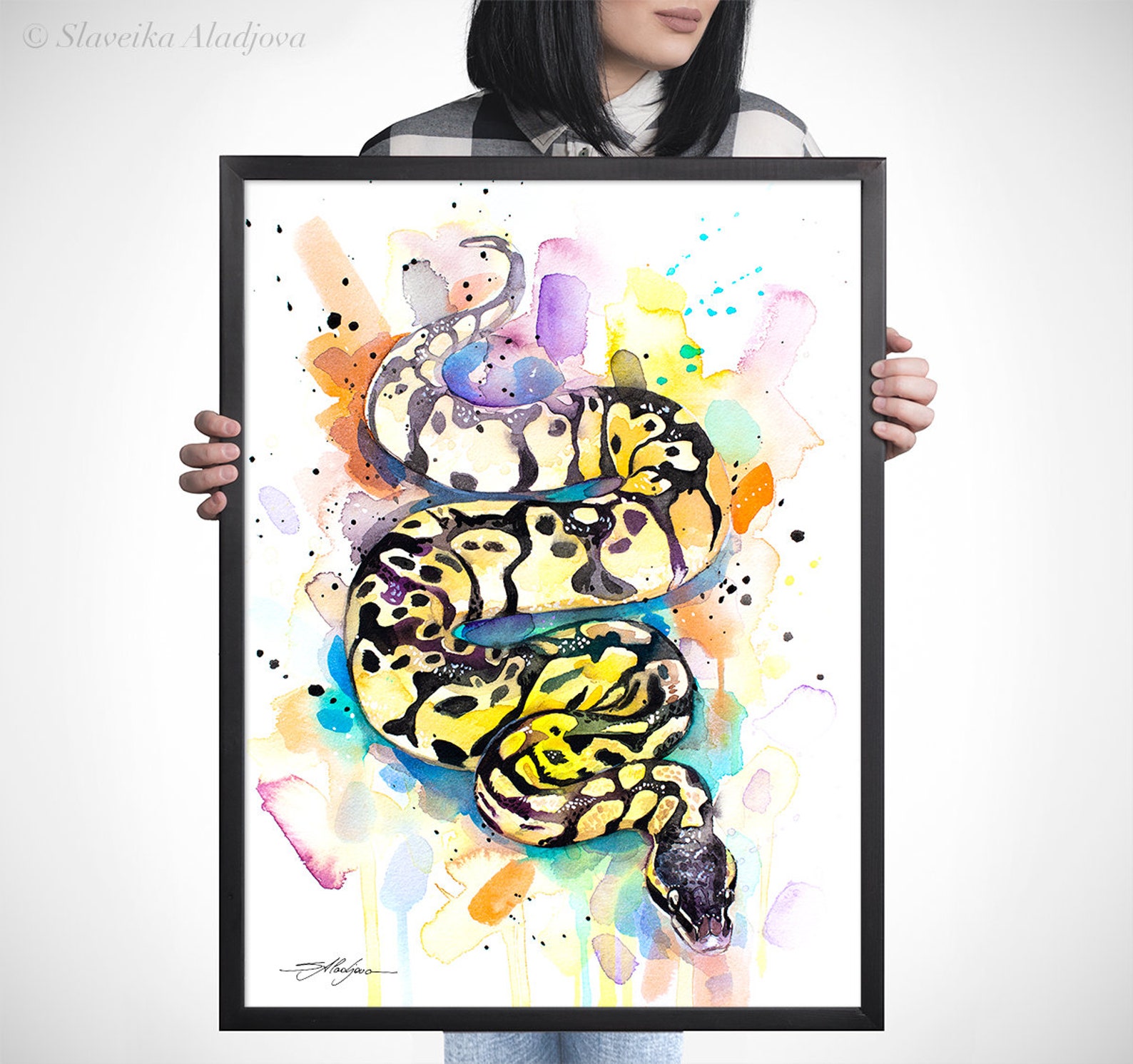Pastel Ball Python Snake Watercolor Framed Canvas by Slaveika - Etsy