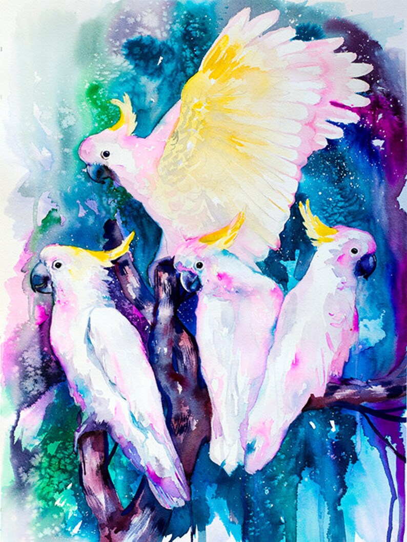 cockatoo pictures on canvas cockatoo pictures on canvas
