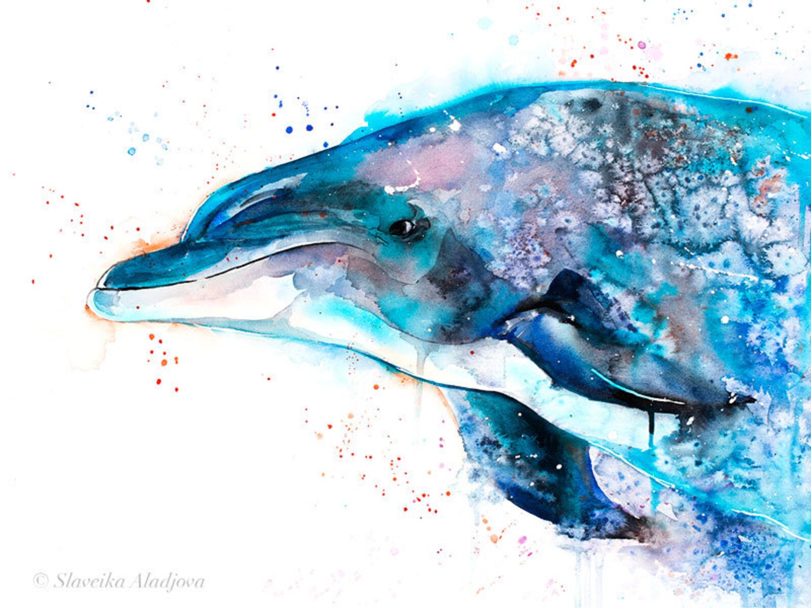 Dolphin Limited Edition Watercolor Art Print by Slaveika Aladjova ...