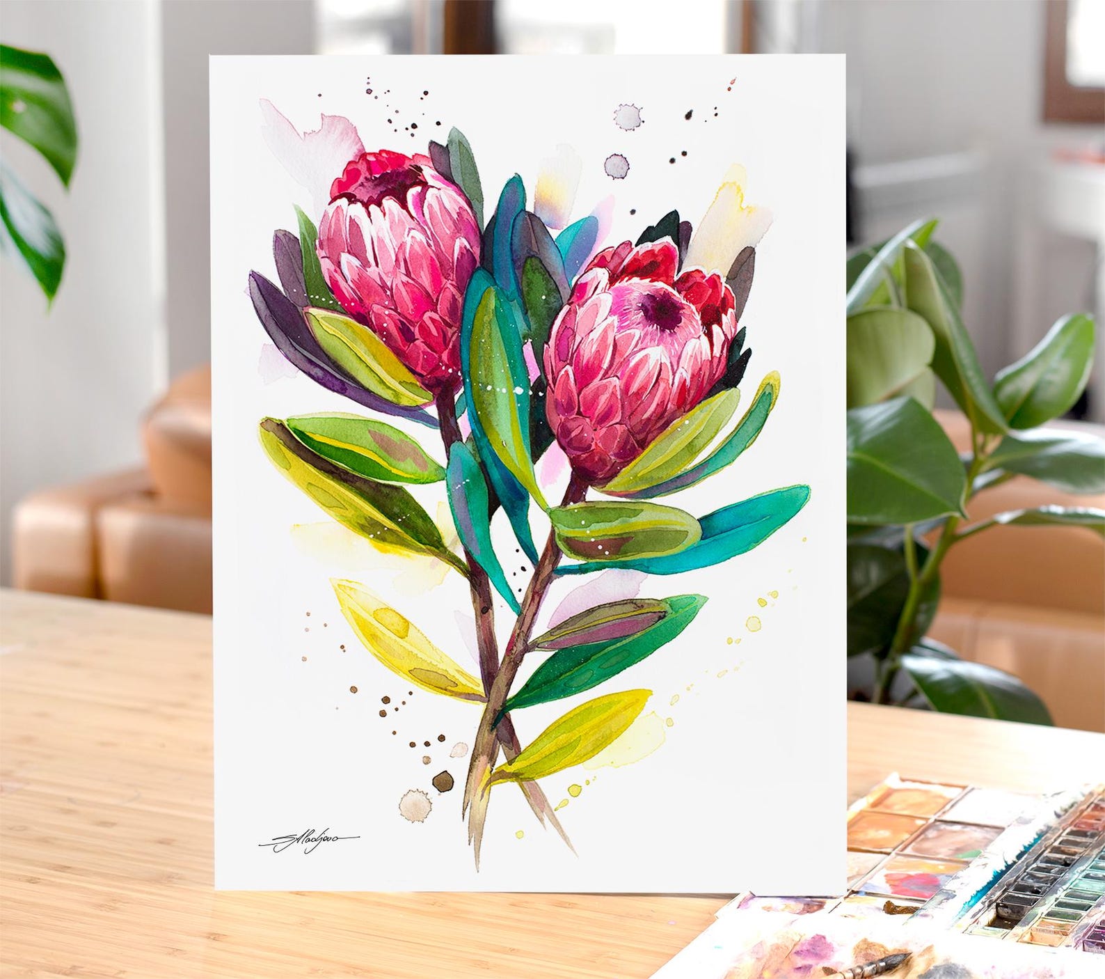Protea Pink Ice Limited Edition Watercolor Art Print by Slaveika ...