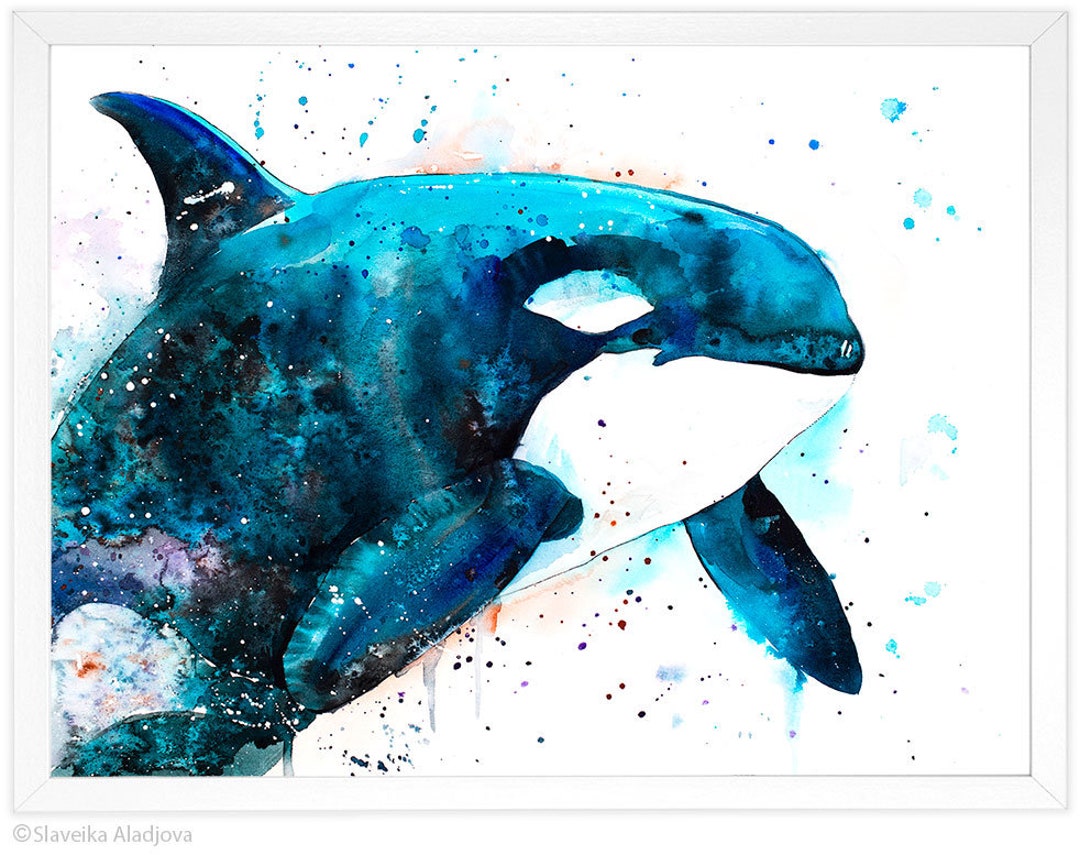 Orca Watercolor Painting Print by Slaveika Aladjova Art 