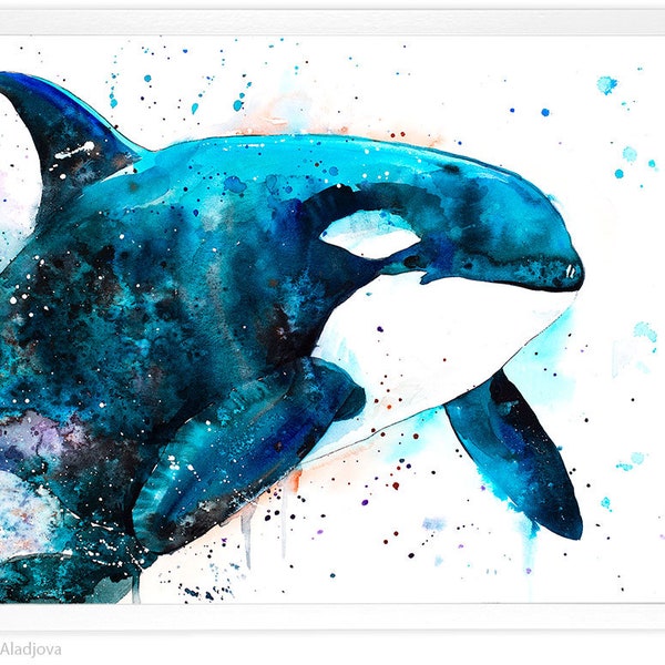 Orca Watercolor Wall Art Etsy
