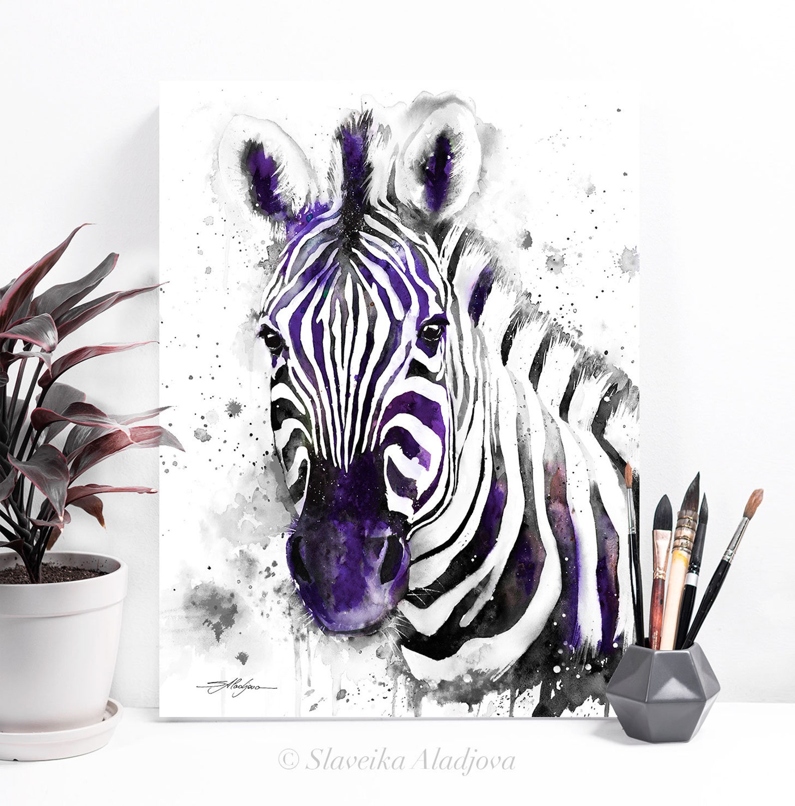 Black and White Zebra Watercolor Painting Print by Slaveika Aladjova