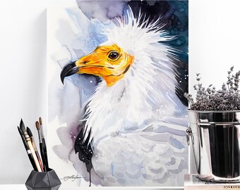 エジプトハゲワシ、旧世界のハゲワシ、シロハゲワシ 限定版水彩画