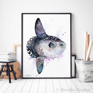 Sunfish, Mola Mola, Ocean Sunfish Limited Edition Watercolor Art Print ...