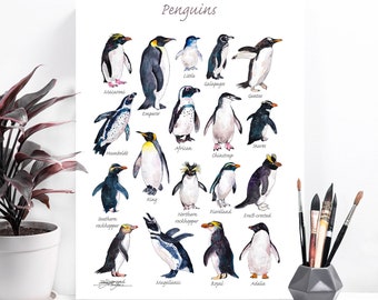 Penguins watercolor painting print by Slaveika Aladjova, art, animal, illustration, home decor, Nursery, Wildlife, animal species, bird