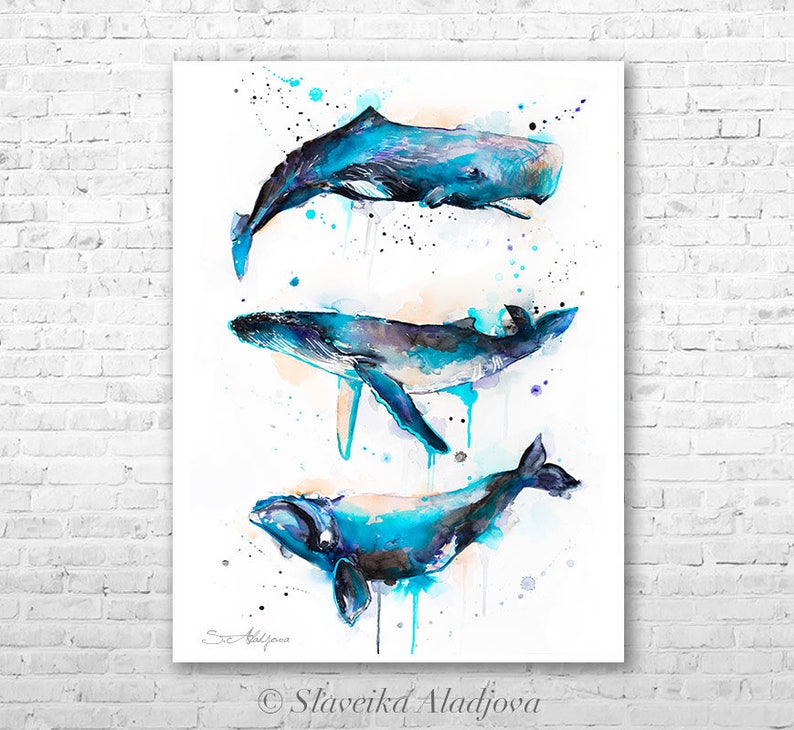 Sperm whale, Right whale,Humpback whale watercolor painting printby Slaveika Aladjova, art, animal, illustration, Sea art, sea life art, image 1