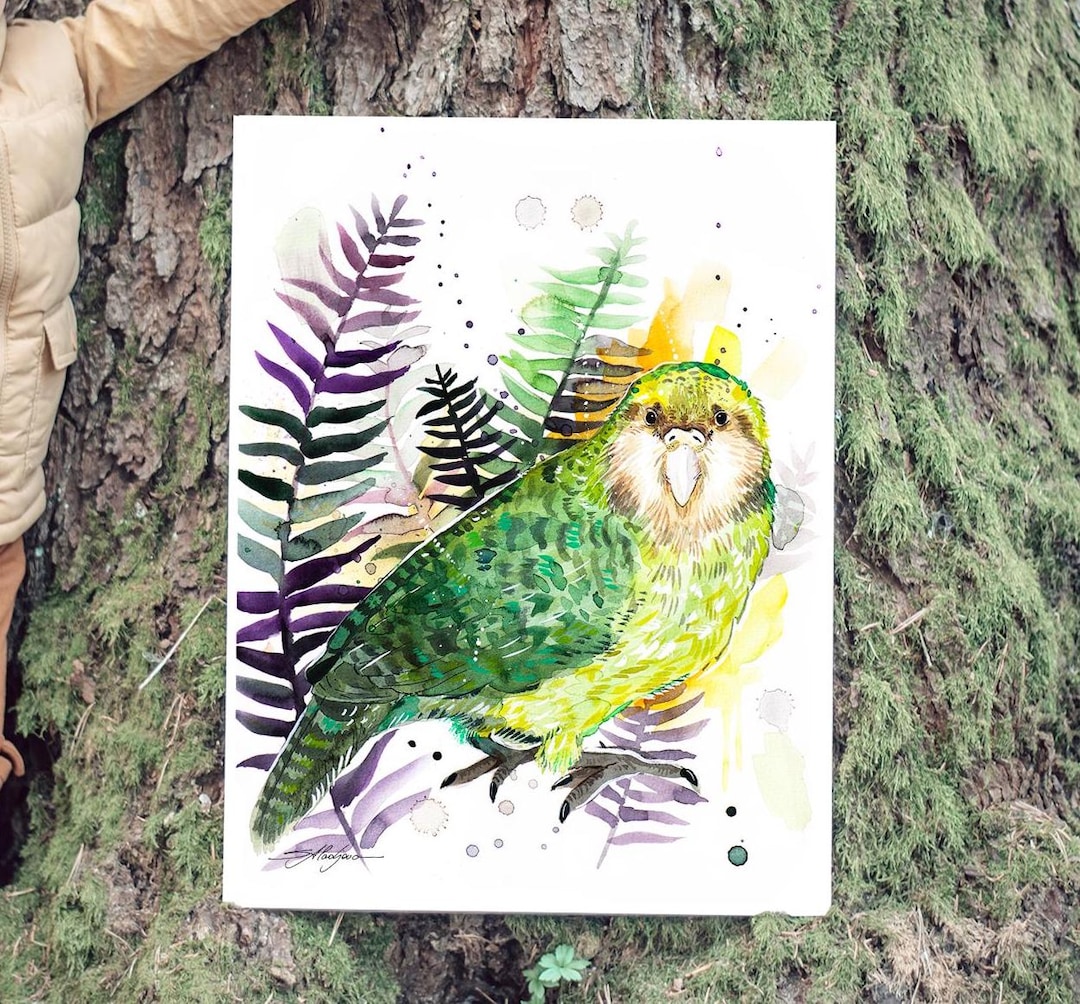 カカポ、フクロウオウム、Slaveika Aladjovaによる限定版水彩画アート