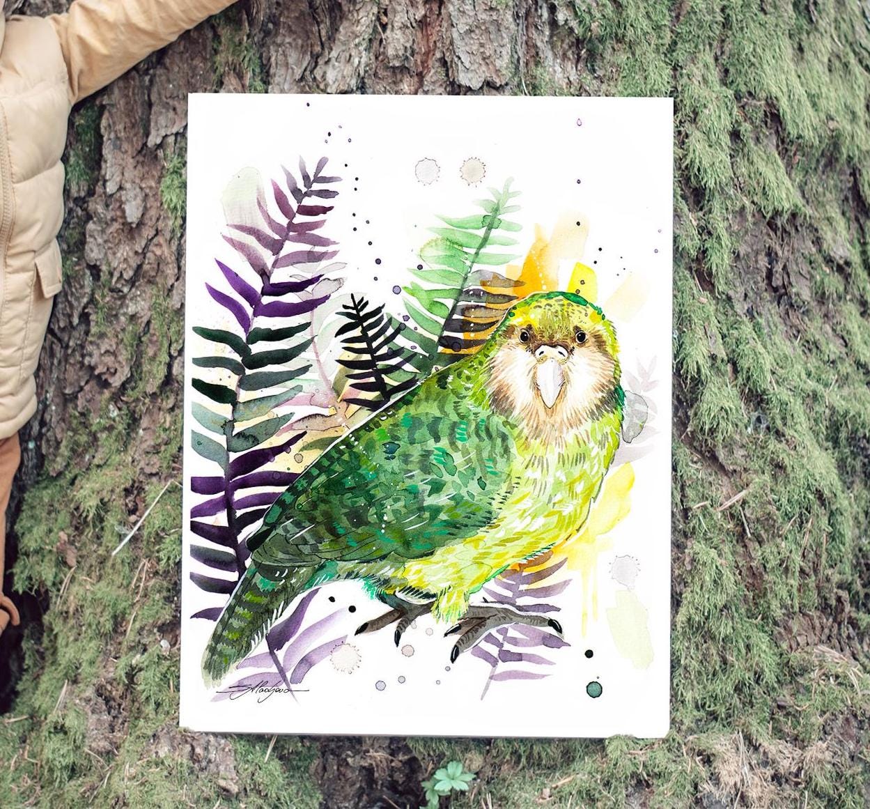 カカポ、フクロウオウム、Slaveika Aladjovaによる限定版水彩画アート