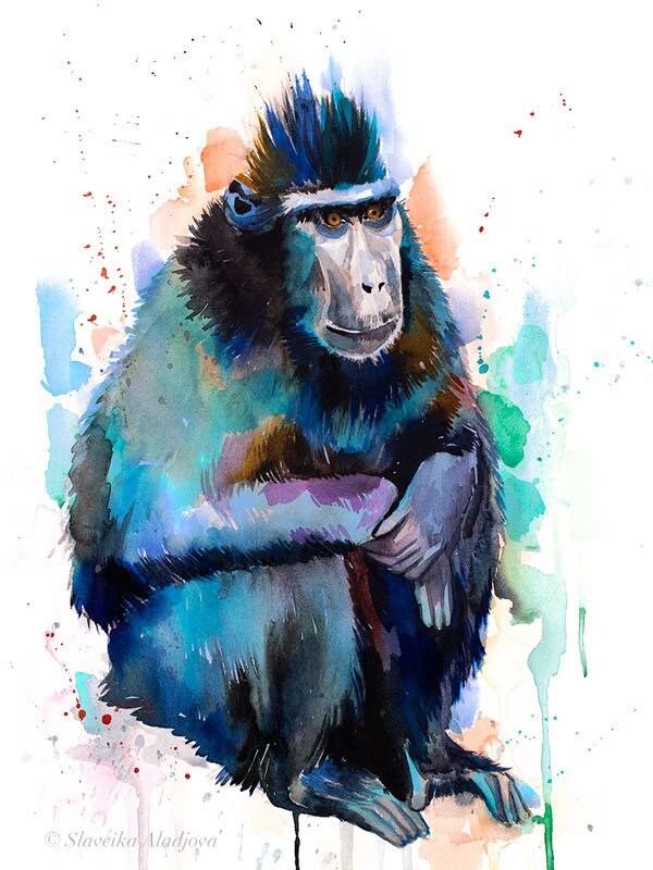 Celebes Haubenmakaken Aquarellmalerei von Slaveika Aladjova, Tier, Illustration, Wohnkultur, Kinderzimmer, Geschenk, Wildlife, Affe